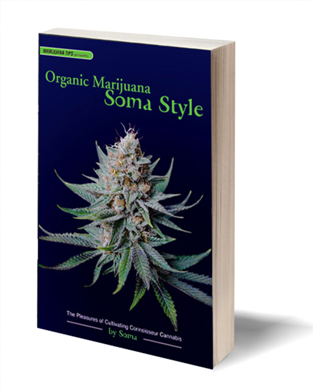 Organic Marijuana, Soma Style