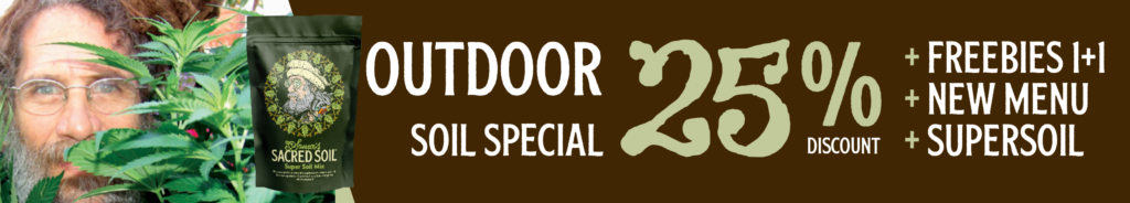 25% Discount