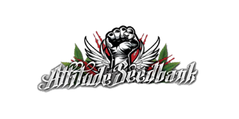 Attitude Seed Bank