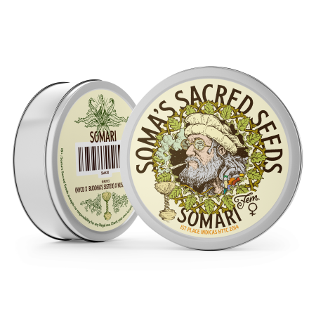 Somari strain