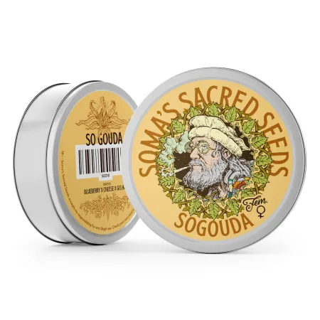 Sogouda strain