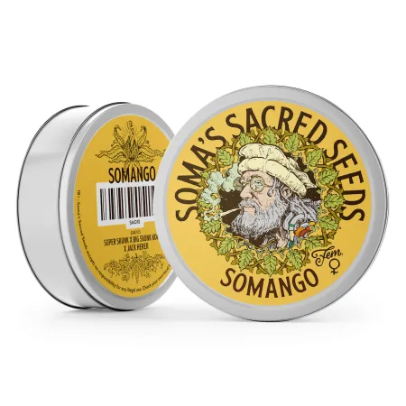 Somango strain